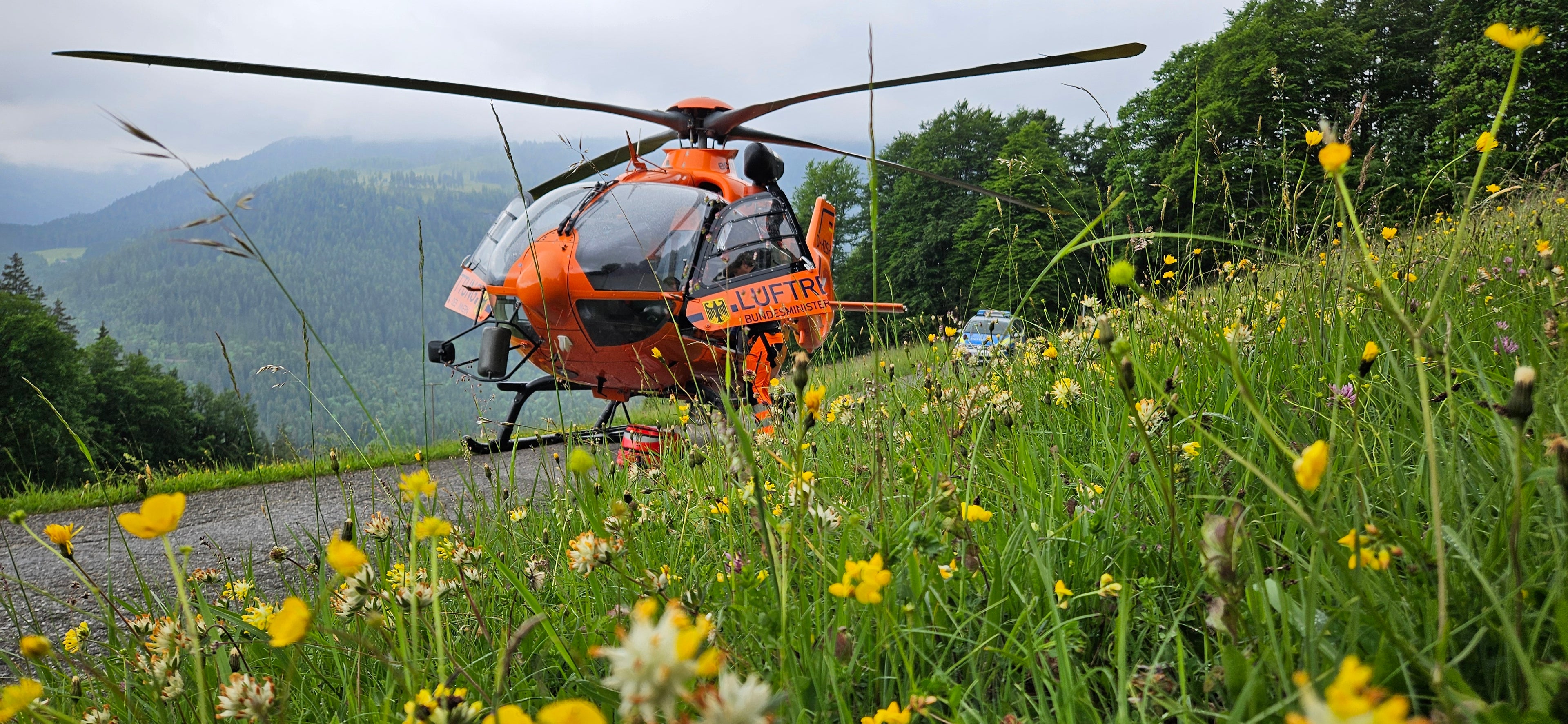 Hubschrauber gelandet auf Forststraße im Frühling